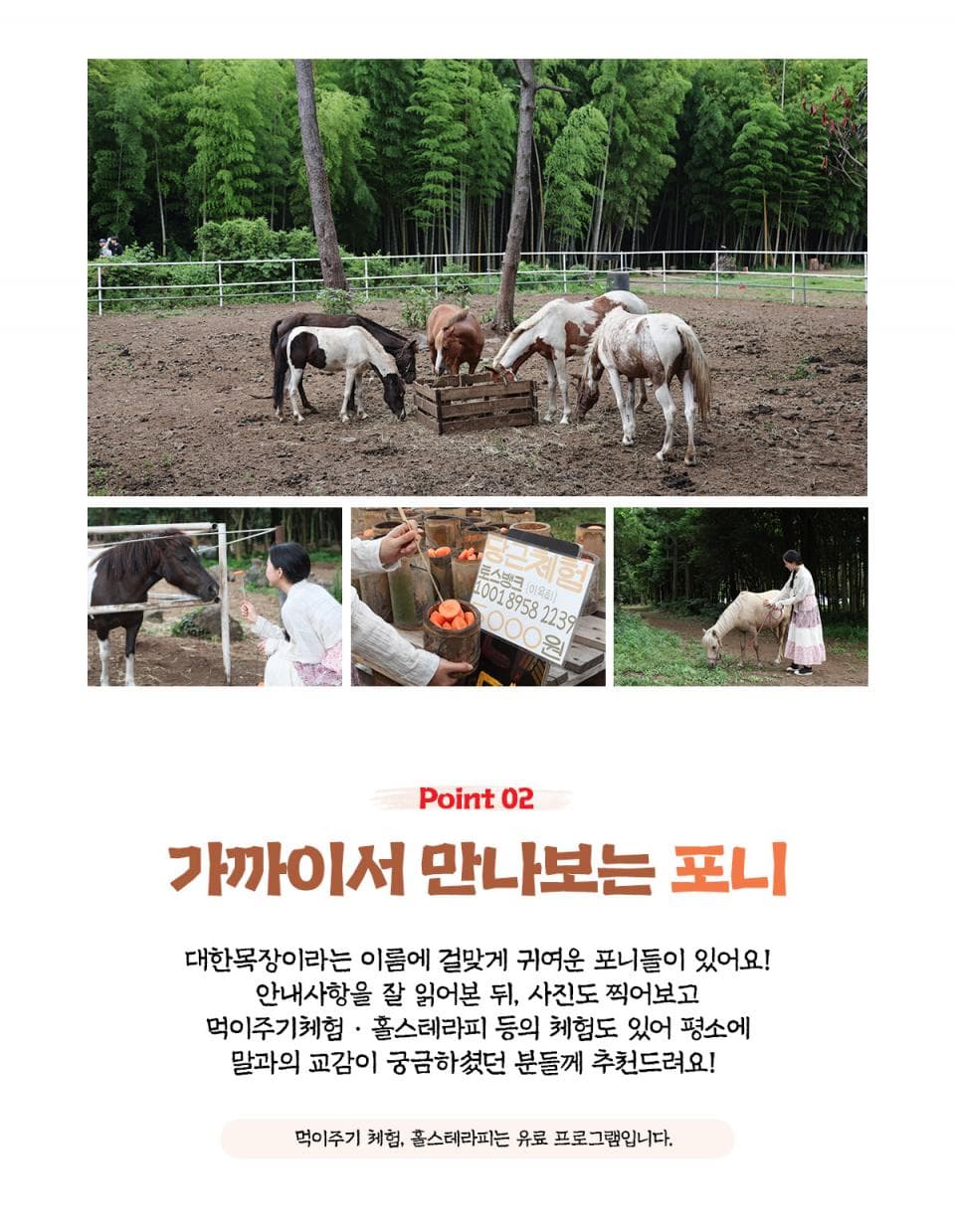 대한목장 아메리카노 2잔+쿠키 2개 (~09/30) 이용 안내 5